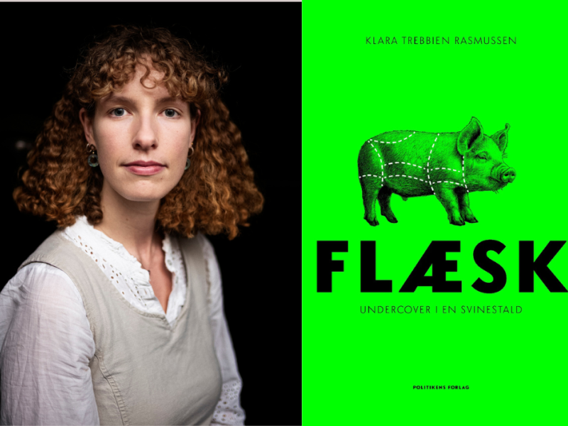 flæsk
